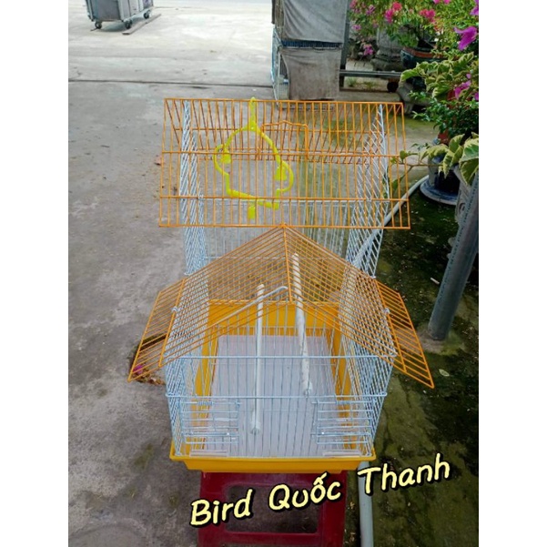 Lồng TQ 2 mái nuôi yến phụng, vành khuyên..