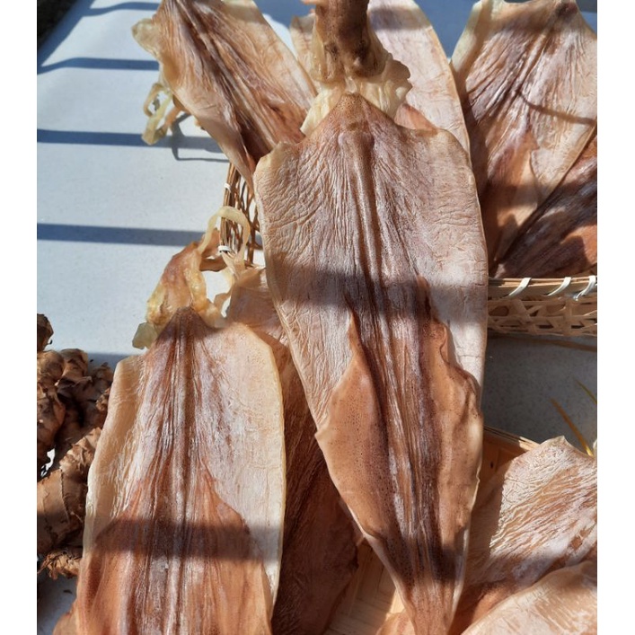 [FREE SHIP-HÀNG CHẤT LƯỢNG] Khô Mực Câu Phú Quốc Size 7-10 Con/kg Đảm Bảo Hàng Tự Nhiên, Hàng Ngon Ngọt. | BigBuy360 - bigbuy360.vn