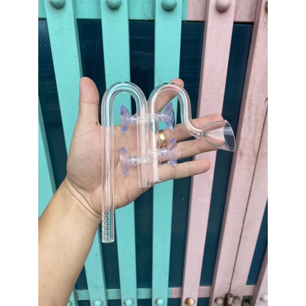 In out f12 nano cho hồ shallow