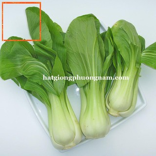 20GR - HẠT GIỐNG CẢI THÌA Hạt Giống Nông Trại Xanh