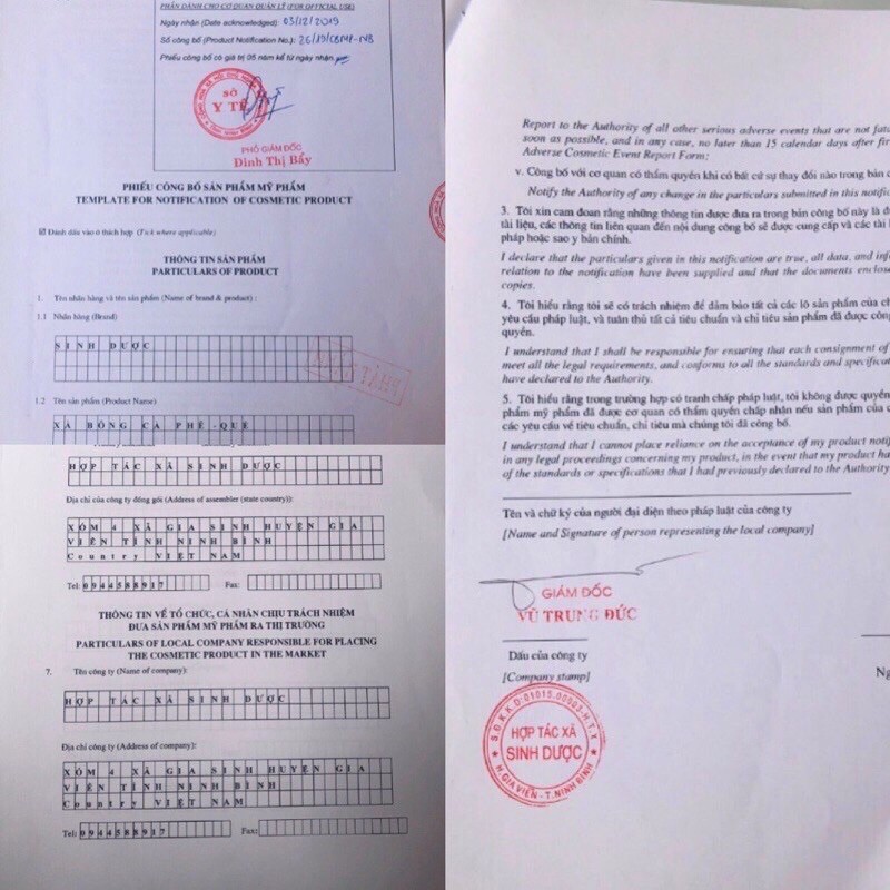 Xà bông than tre sinh dược organic bánh 100gr sạch mát da, ngừa mụn, sát khuẩn, tẩy da chết, mùi bạc hà tươi mát | BigBuy360 - bigbuy360.vn