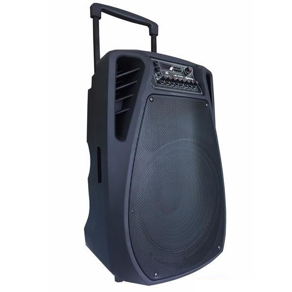 LOA KÉO ARIRANG MIK -3600 (KÈM 2 MICRO KO DÂY)