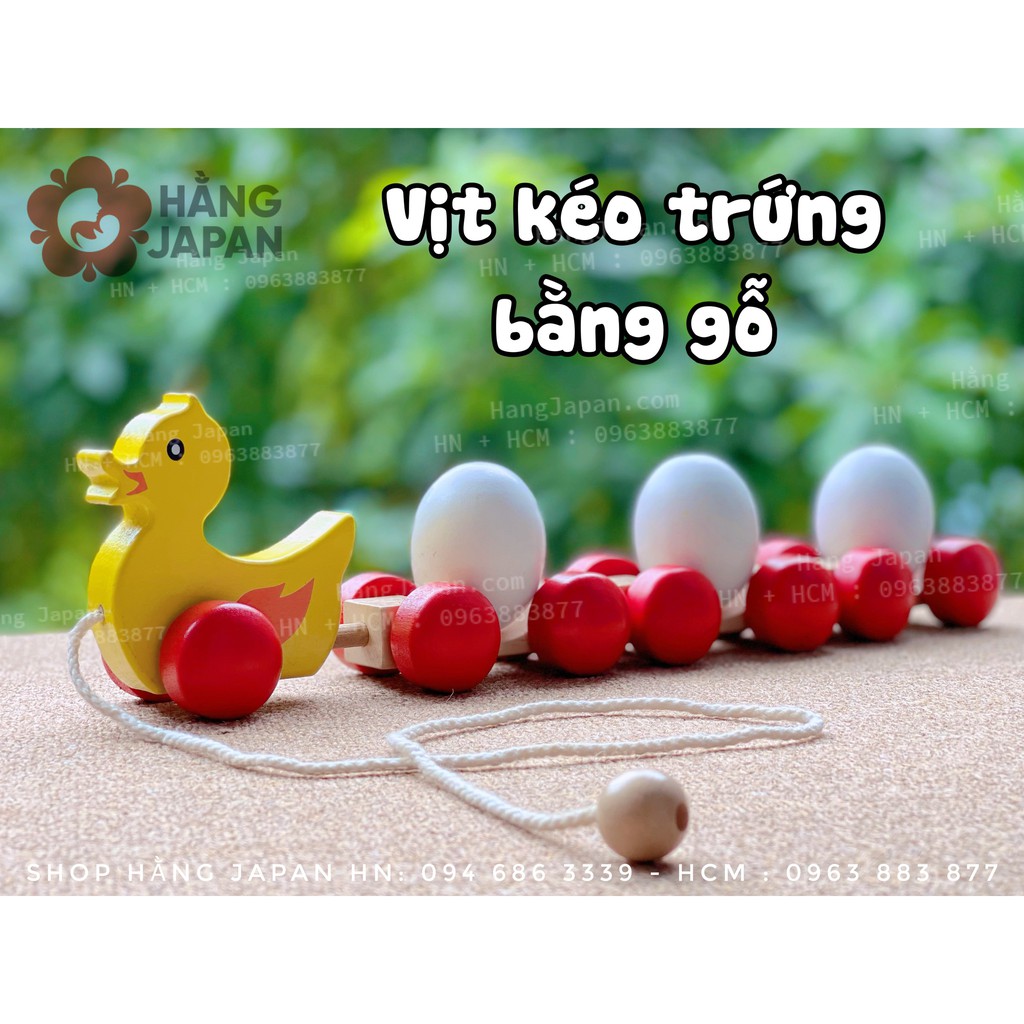 Đồ chơi vịt kéo trứng cho bé cho bé từ 6 tháng trở lên