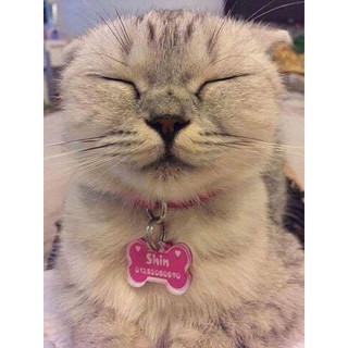 Thẻ tên thú cưng - PET