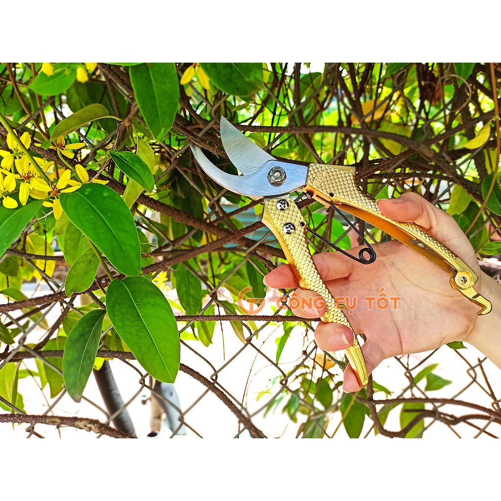 Kéo cắt cành dáng cá vàng Đài Loan TOP 120323-PSGOLD
