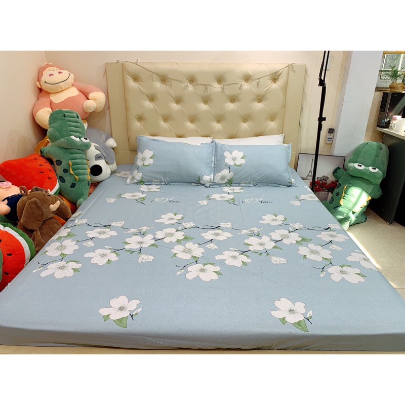 Ga Gối Polly Các Mẫu Mới | BigBuy360 - bigbuy360.vn