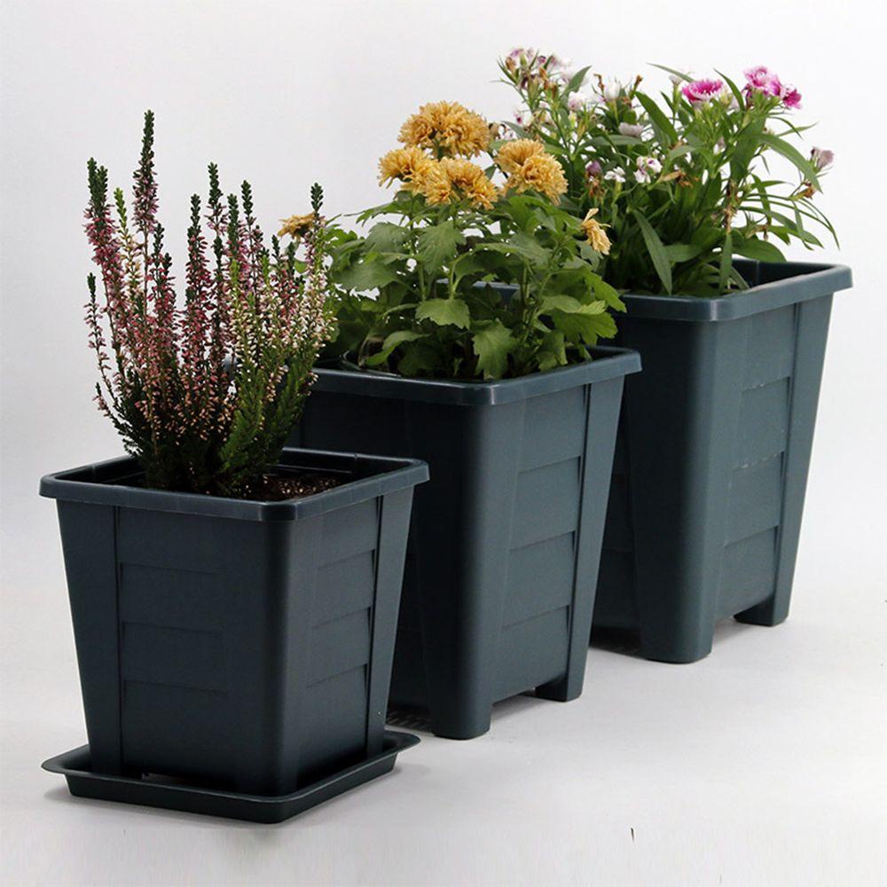 Khay Trồng Cây Cảnh Thiết Kế Độc Đáo Tiện Dụng