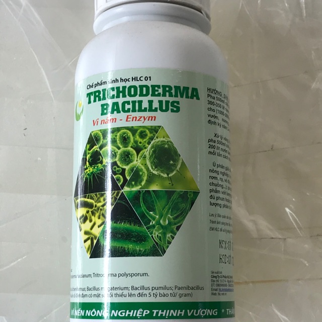 Nấm đối kháng Trichoderma Bacillus  chai 500ml