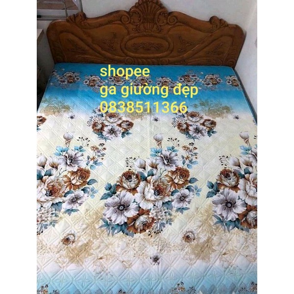XẢ KHO Ga trần bông ga chải giường bo chun bọc đệm chắc chắn | BigBuy360 - bigbuy360.vn