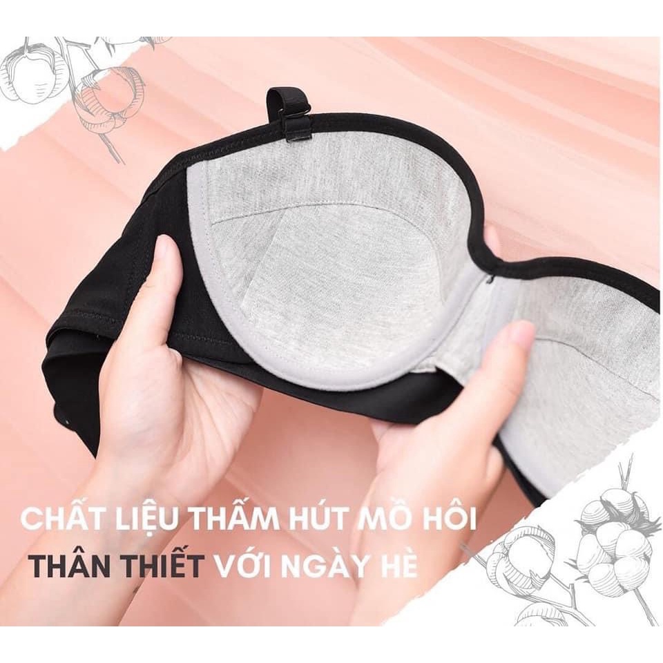 Áo Lót Đệm Mỏng Cotton Cao Cấp, Quả Cúp Ngang Nâng Ngực Hà Giang Vnxk