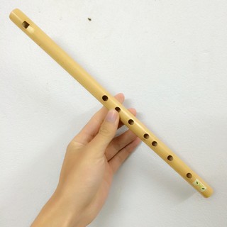 Sáo dọc nứa