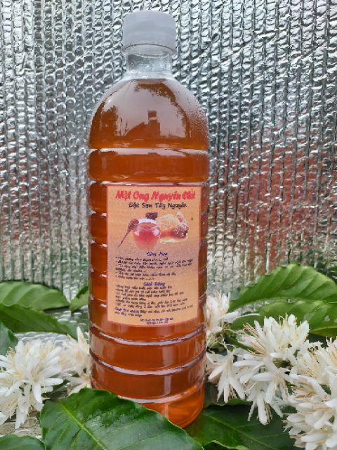 Mật ong ( 1 lít mật ong hoa cà phê nguyên chất.) MẬT ONG ĐẶC SẢN VÙNG TÂY NGUYÊN 100% HOA CÀ PHÊ | BigBuy360 - bigbuy360.vn