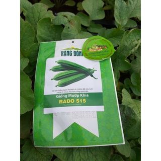 [ Rạng Đông] Hạt giống Mướp Khía Lai F1 Rado 515 gói 10 hạt