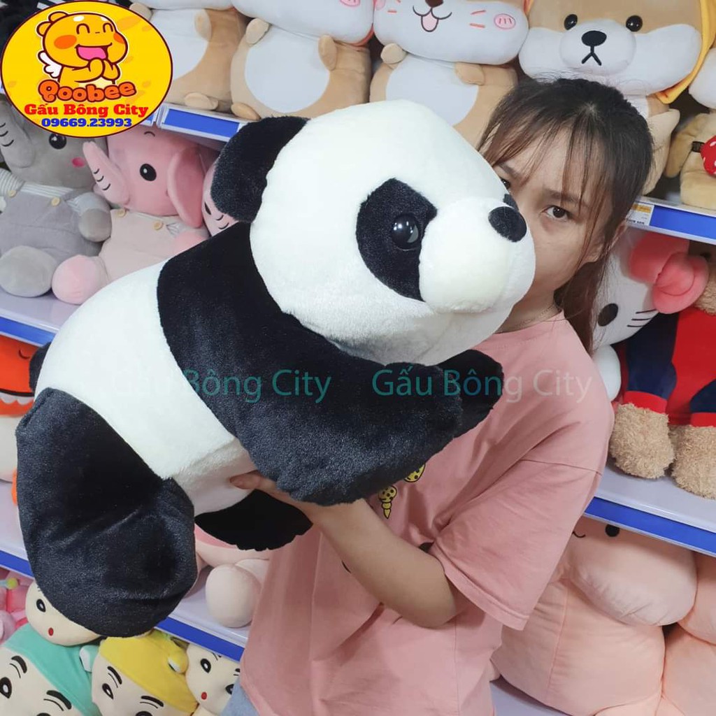 Gấu Bông Gối Ôm Gấu Trúc Panda Dễ Thương Quà Tặng Cao Cấp