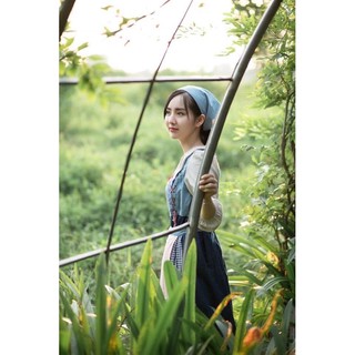 Bộ hà lan có sẵn