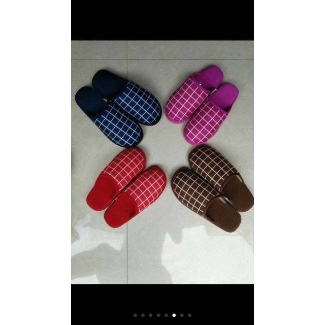 DÉP LÔNG ĐI TRONG NHÀ [BI &amp; CI]