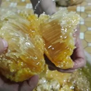 Mật ong rừng nguyên chất 100%