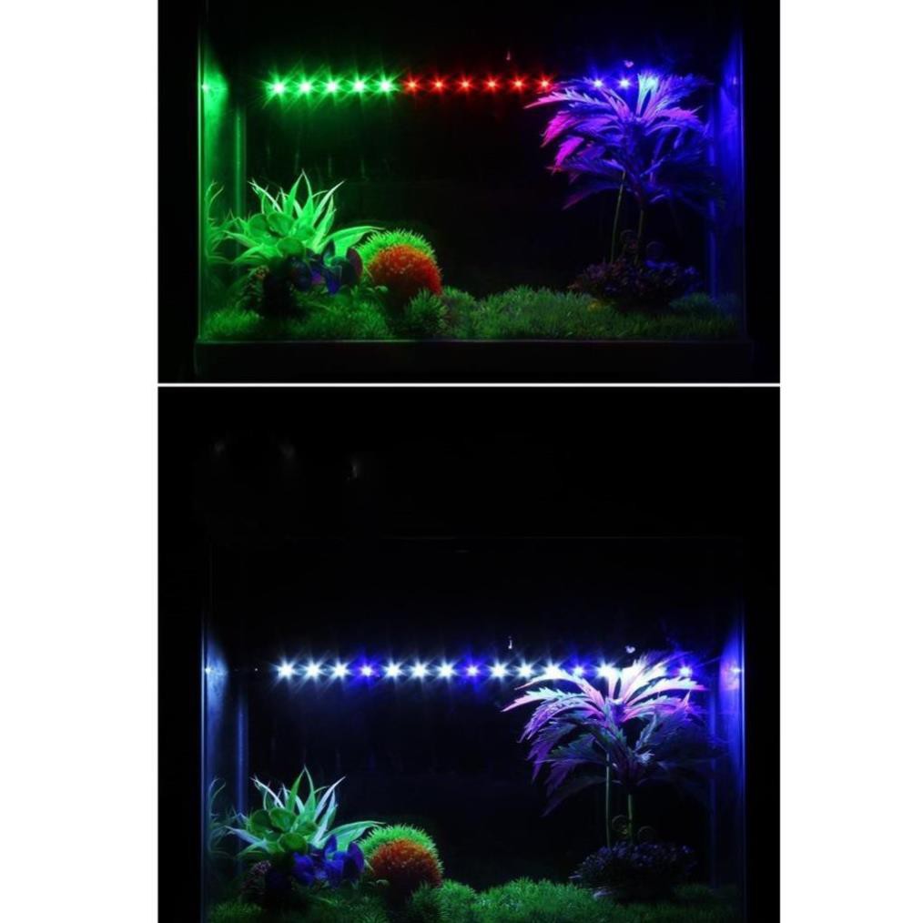 Đèn led chìm hồ cá 100cm