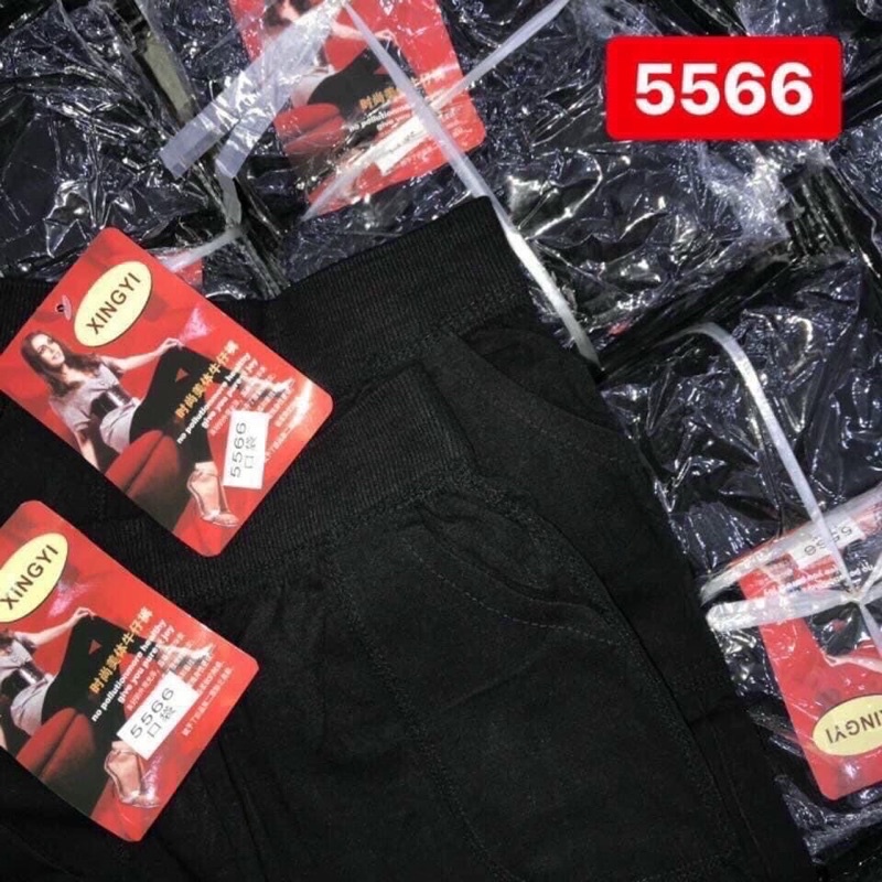 quần ngố legging