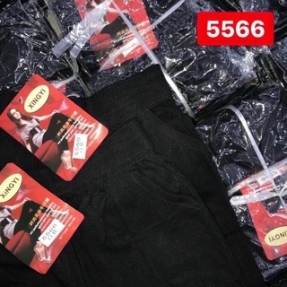 Quần ngố legging