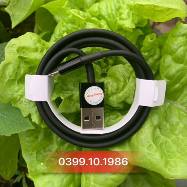 Cáp IP lightning màu đen Beats chính hãng Apple