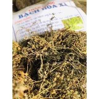 Bạch Hoa Xà Thiệt Thảo