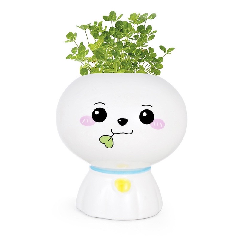 Chậu kiểng mini trang trí bàn trà/phòng khách - tặng kèm hạt giống