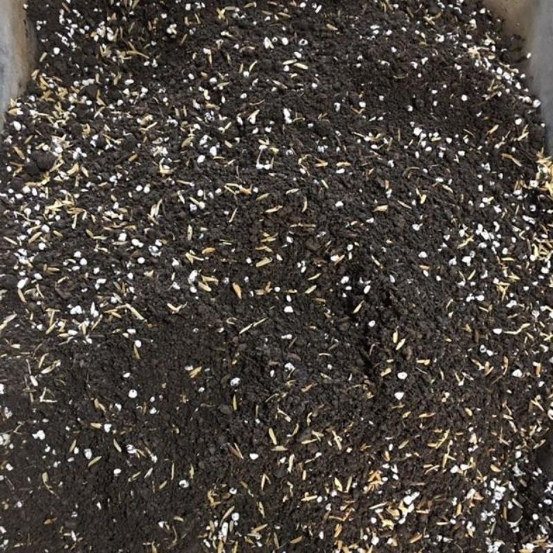 Đất sạch giàu dinh dưỡng trồng cây bao 10kg