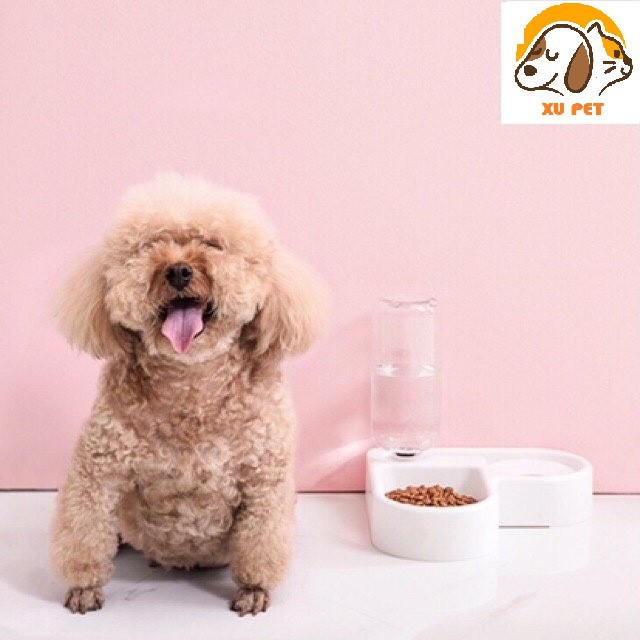 Bát Ăn Kèm Bình Nước Tự Động Dâng Nước Cho Chó Mèo - Bát Ăn Đôi Góc Tường Cho Chó Mèo