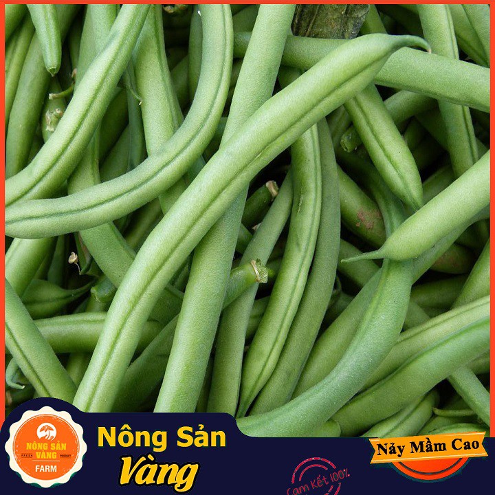 Hạt giống Đậu Cove Hạt Đen Dễ Trồng ( Gói 20 Gram ) - Nông Sản Vàng