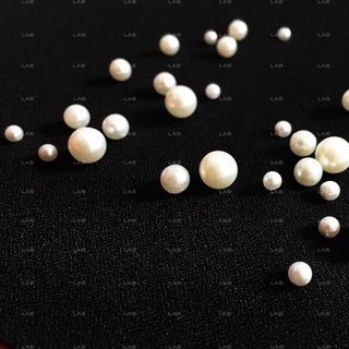 Hạt giả trai có lỗ (30g) #0203