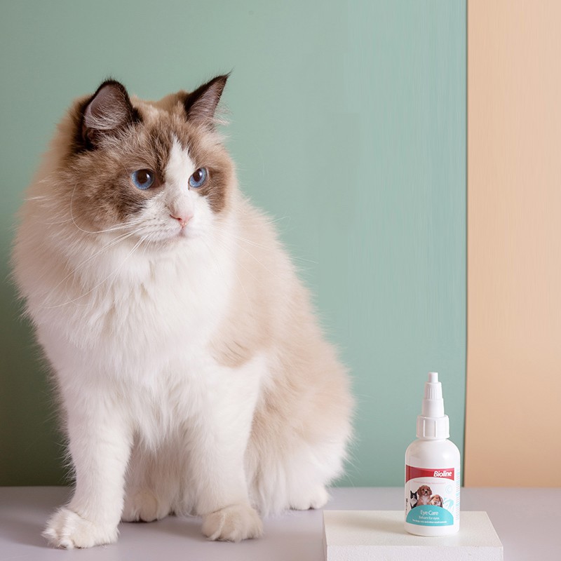 Thuốc nhỏ mắt cho chó mèo Bioline 50ml chất lượng an toàn