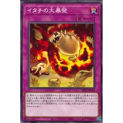 Lá bài thẻ bài SD44-JP039 - Ferret Flames