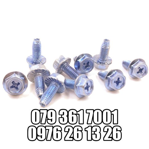 BULONG LONG ĐỀN TỰ REN, BULONG TỰ TARO _M5x10 , M6x12_BỊCH 30 CON