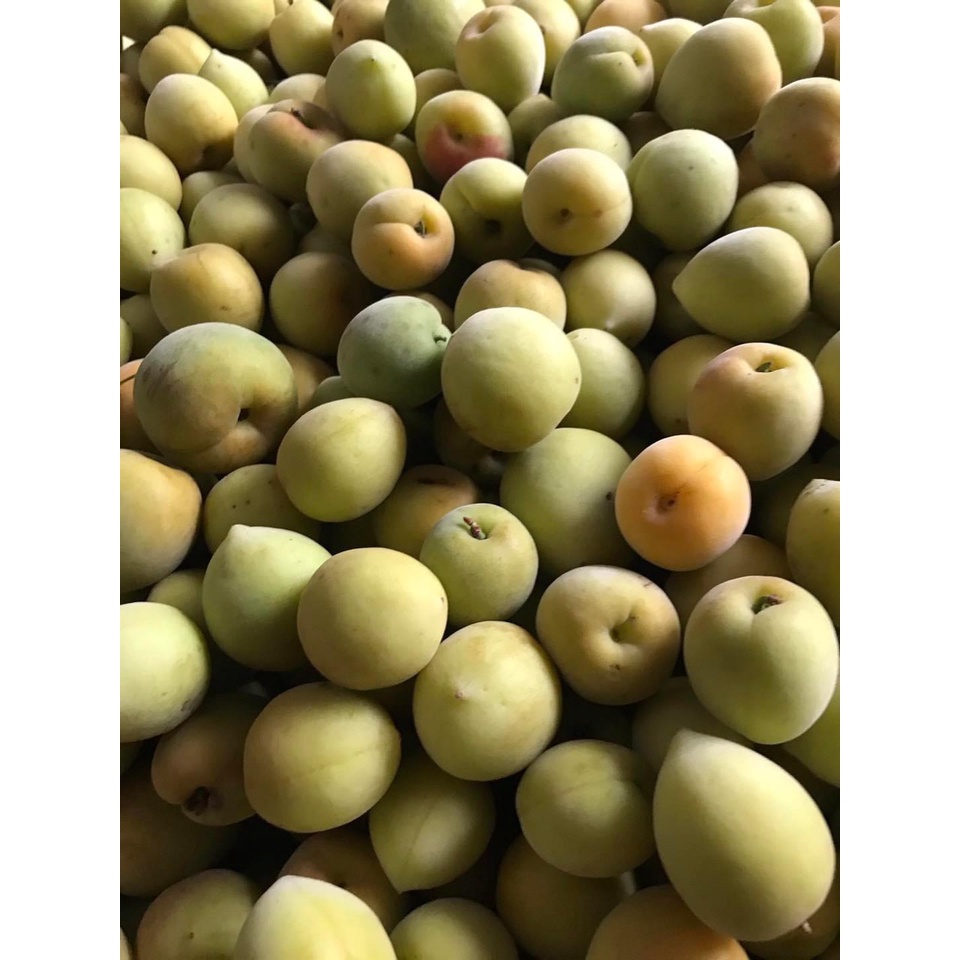 Nước Cốt Mơ muối mặn Dưỡng Sinh - Dấm mơ - 500ml
