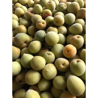 Nước Cốt Mơ 3 năm - Cốt mơ muối mặn Dưỡng Sinh - Dấm mơ - 500ml