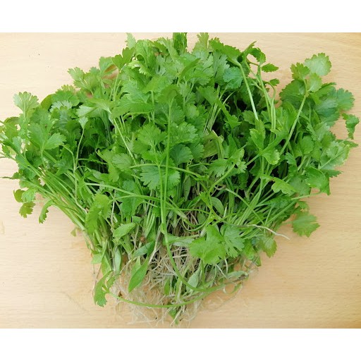 Hạt Giống Ngò Hạt Nhỏ Trang Nông 20gram