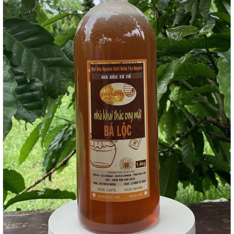 (Trại Ong Mật Bá Lộc) 700G Mật ong hoa rừng cà phê bá lộc - giá gốc tại tổ