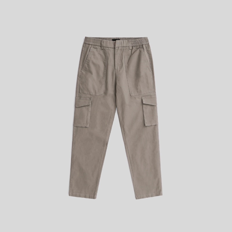 Quần dài FLEX CARGO PANTS / Grey Shadow