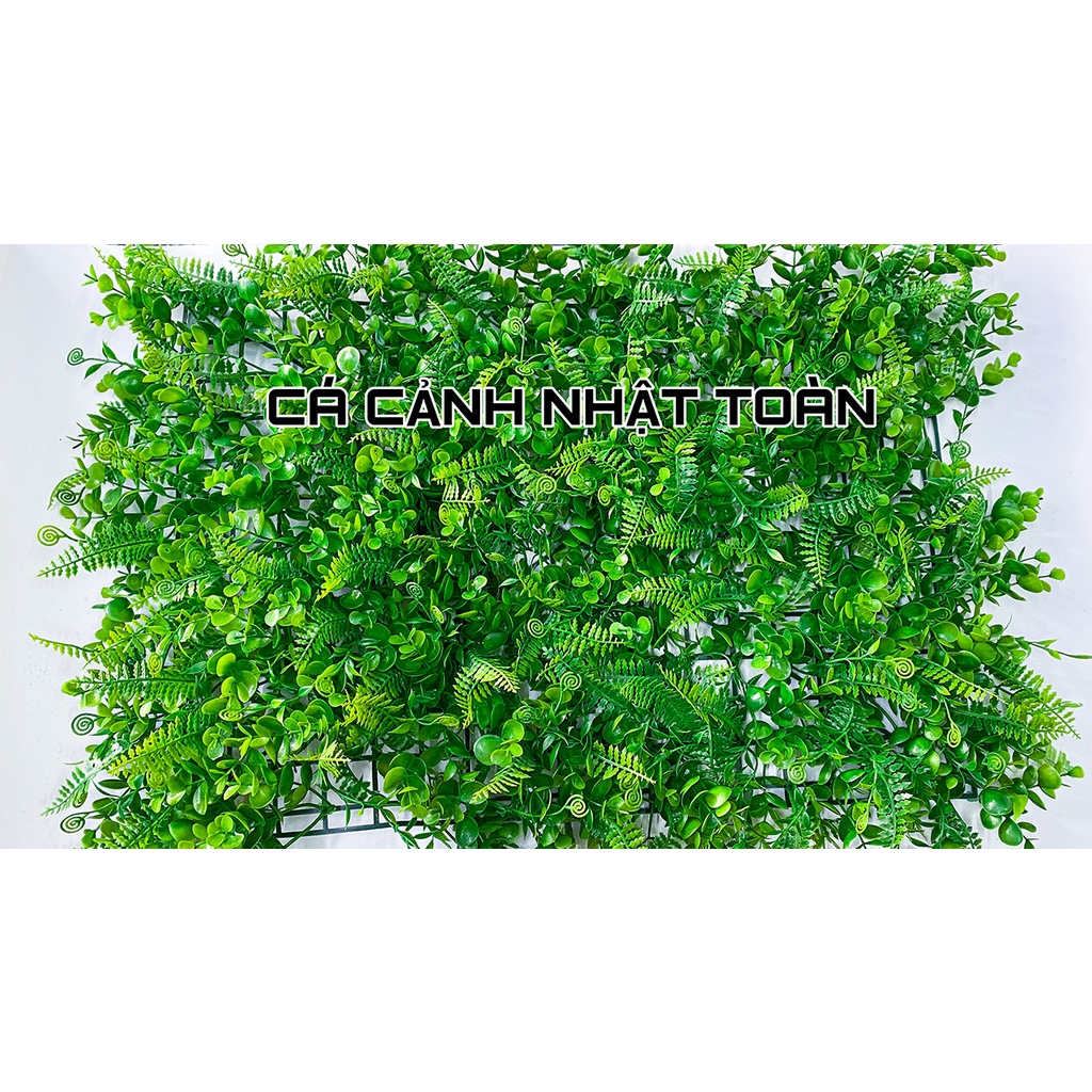 THẢM CỎ DƯƠNG SỈ NHÂN TẠO TRANG TRÍ BỂ CÁ, TIỂU CẢNH 60X40CM