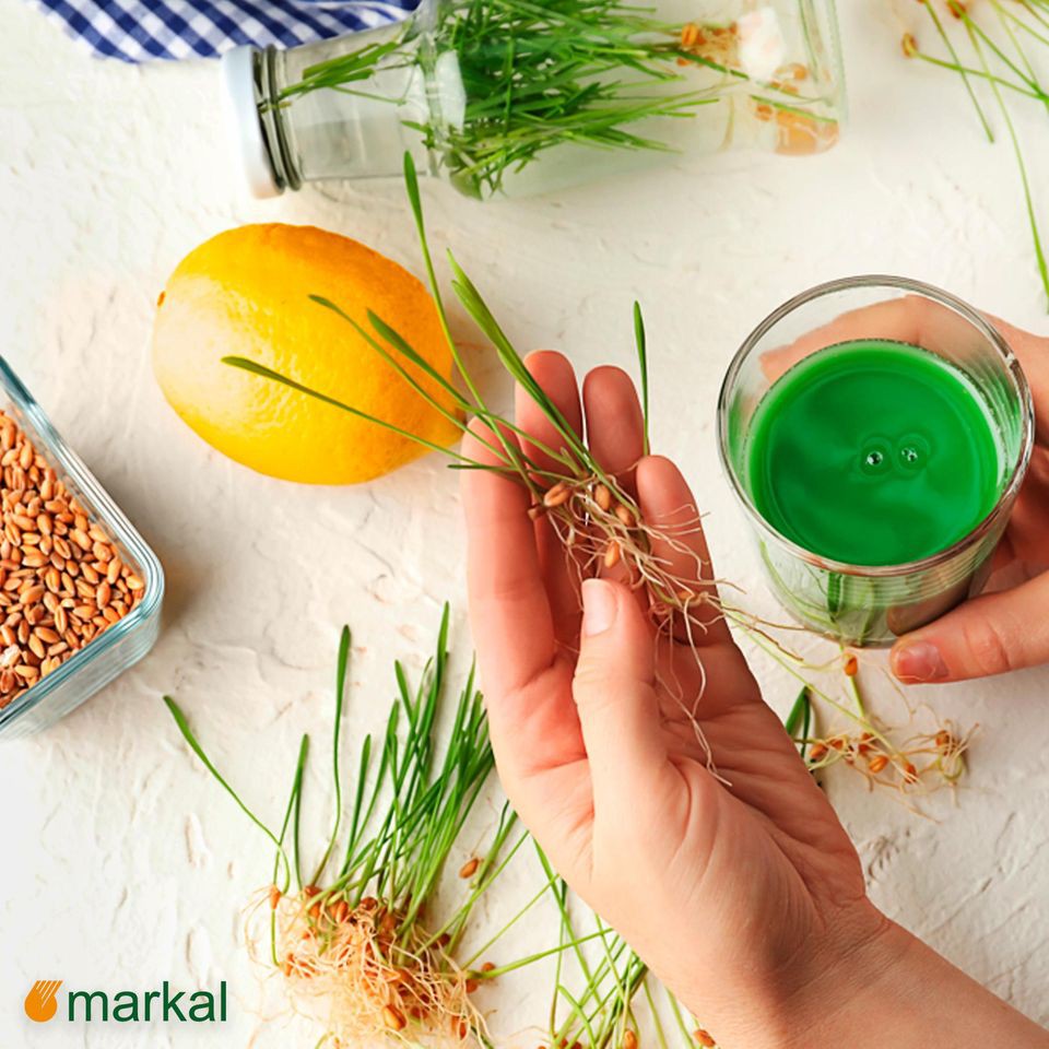 [Mã BMBAU50 giảm 7% đơn 99K] Hạt giống cỏ mèo cỏ lúa mì hữu cơ Markal 1kg