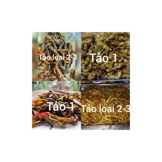 Tảo xoắn Chi Lê Hảo Hạng