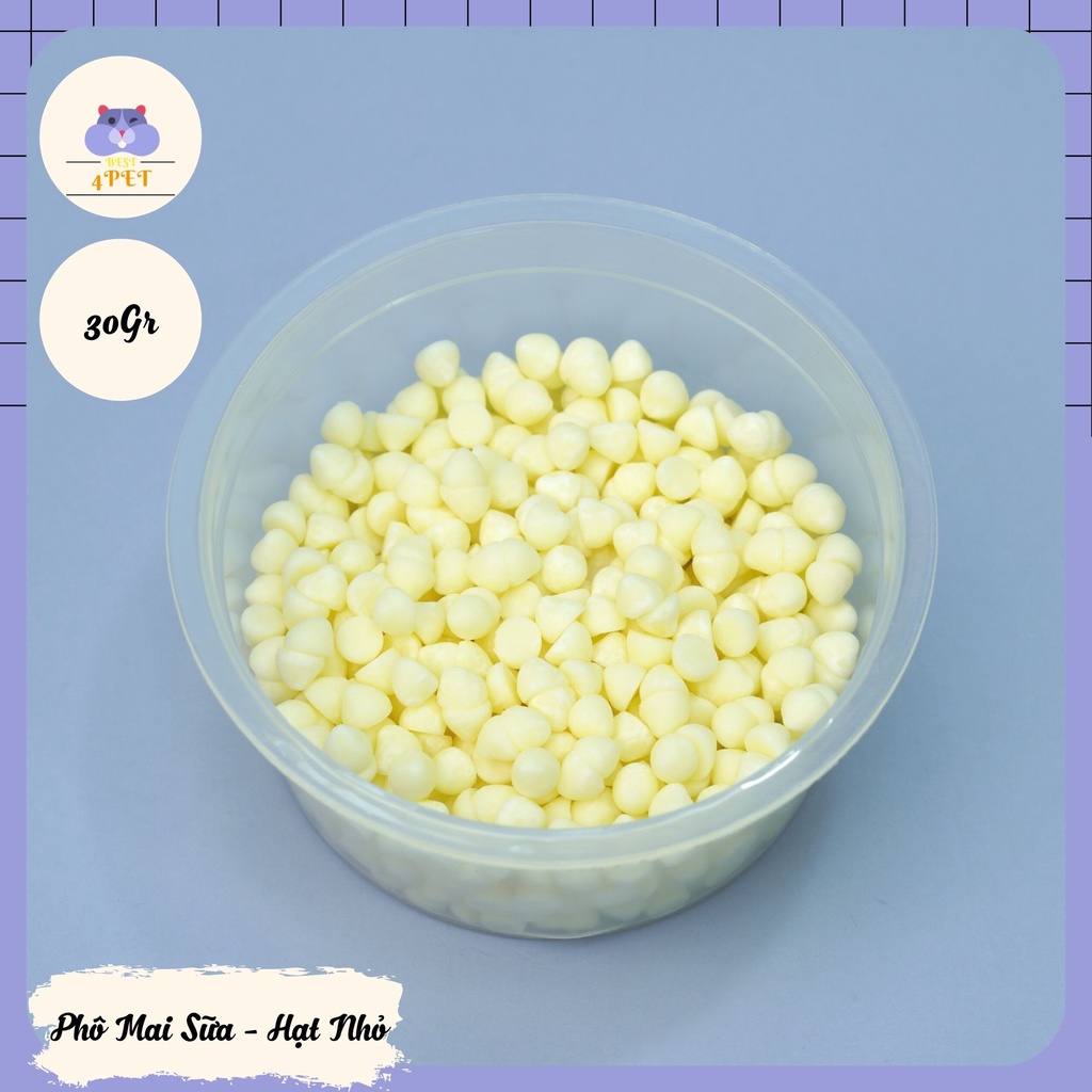 Phô Mai Sữa cho Hamster