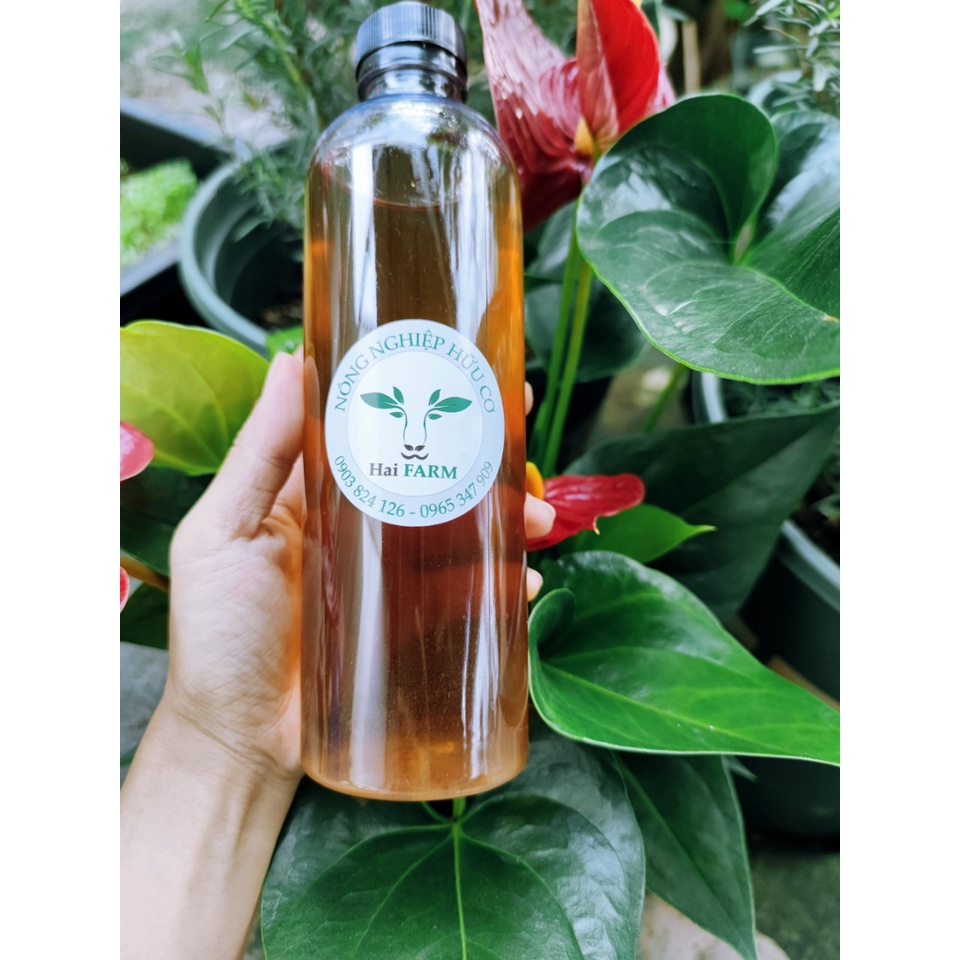 Dung dịch hữu cơ nguyên chất tỏi ớt gừng-phòng sâu bệnh-đuổi côn trùng