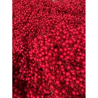 Chùm đào đông rời 2 loại🌸khách tự làm cành theo ý muốn😋 Handmade