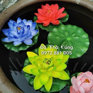 Hoa sen thả bể nước