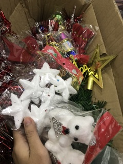 Cây thông noel