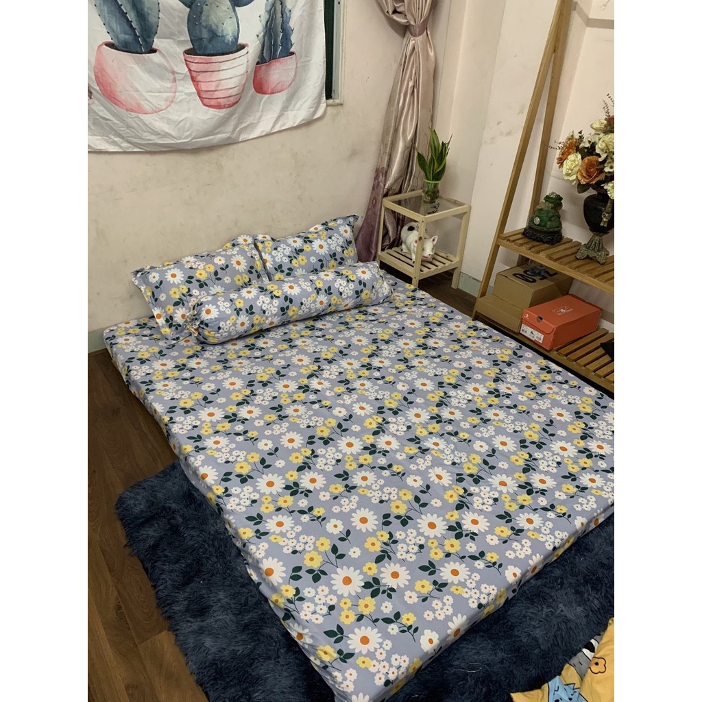 Sale 69k Bộ ga gối poly 1,6m Hạc hồng nền xanh