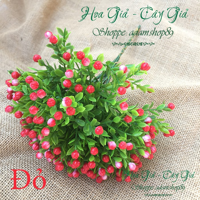 Hoa giả - Hoa Chiêm Điểm