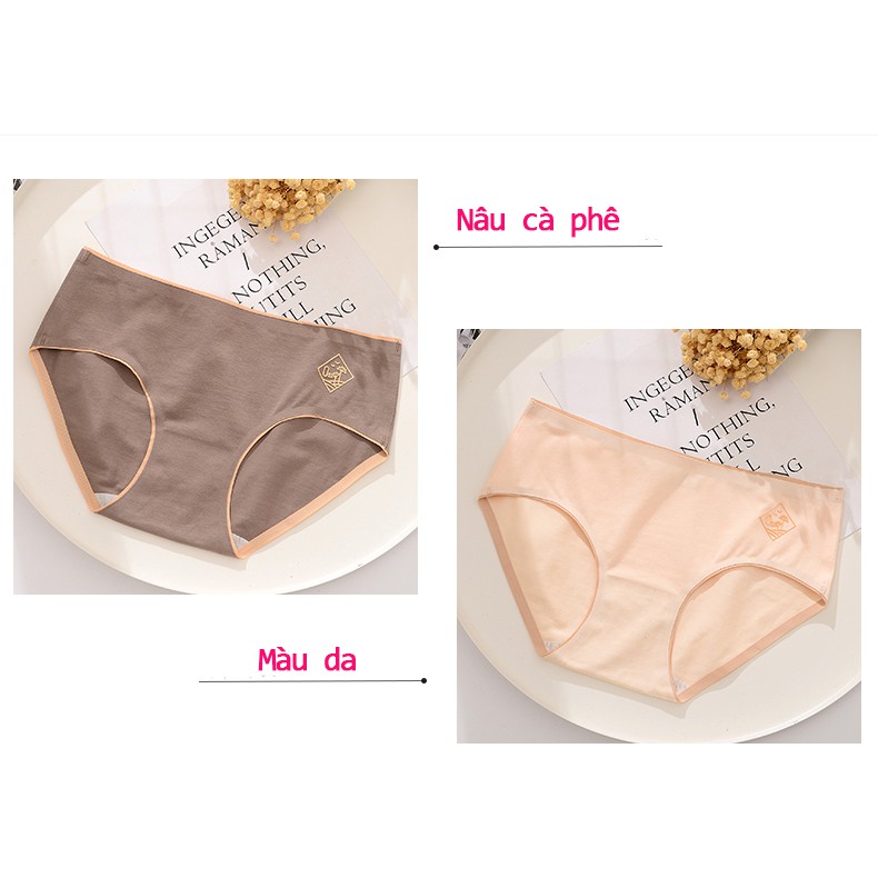 [CÓ VIDEO] Quần lót nữ [ĐƯỢC CHỌN MÀU], quần lót cotton kháng khuẩn không viền may chất đẹp thấm hút mồ hôi QL19 | BigBuy360 - bigbuy360.vn